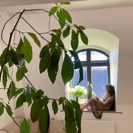 The Historical Posthallen In The Heart Of Apartment